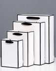White with Black Border Paper Gift Bag w/ free tissue