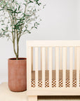 Crib Sheet + Changing Pad Cover Pack - Cash