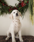 Bamboo Bandana | Gingersnap