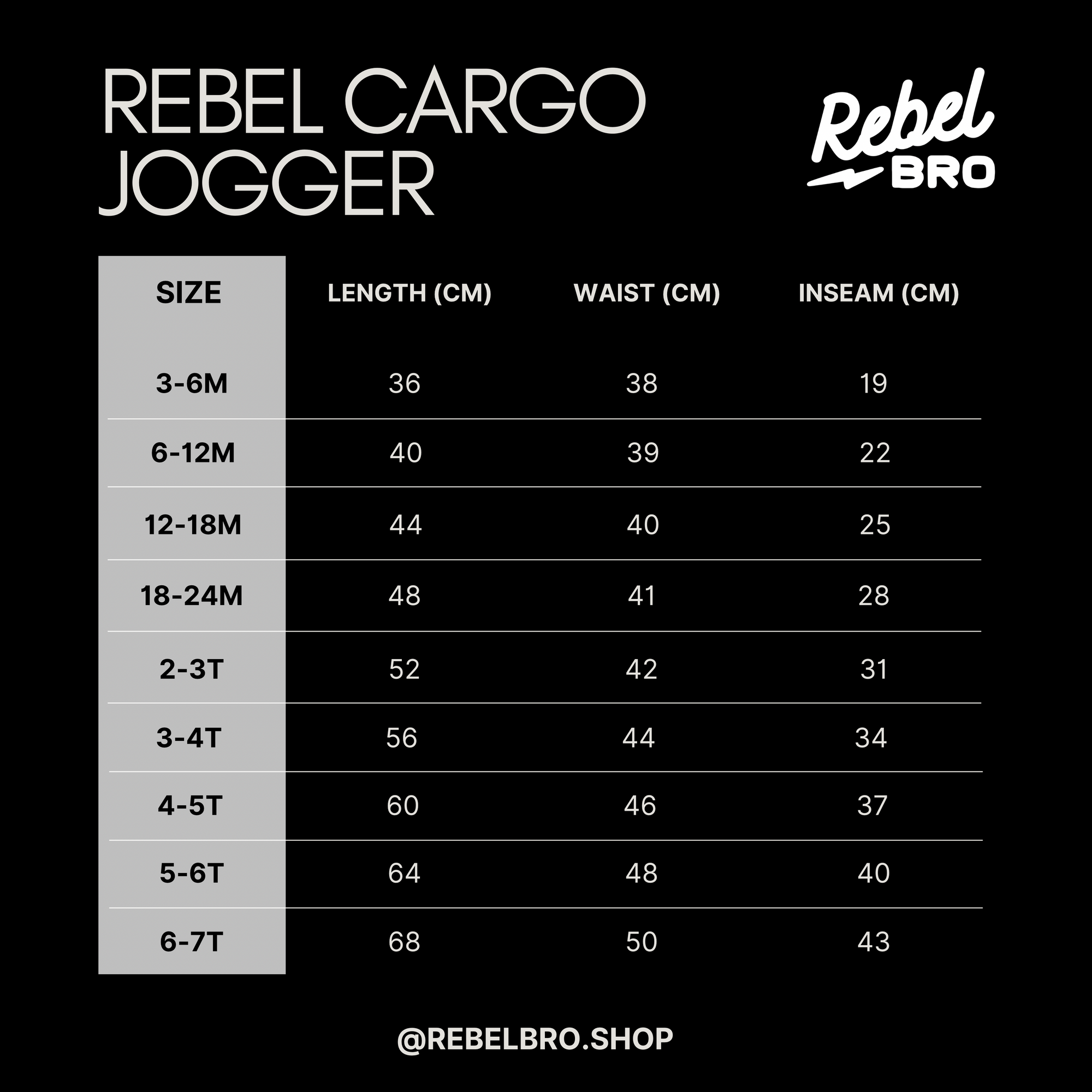 Rebel Cargo Pant in Venice