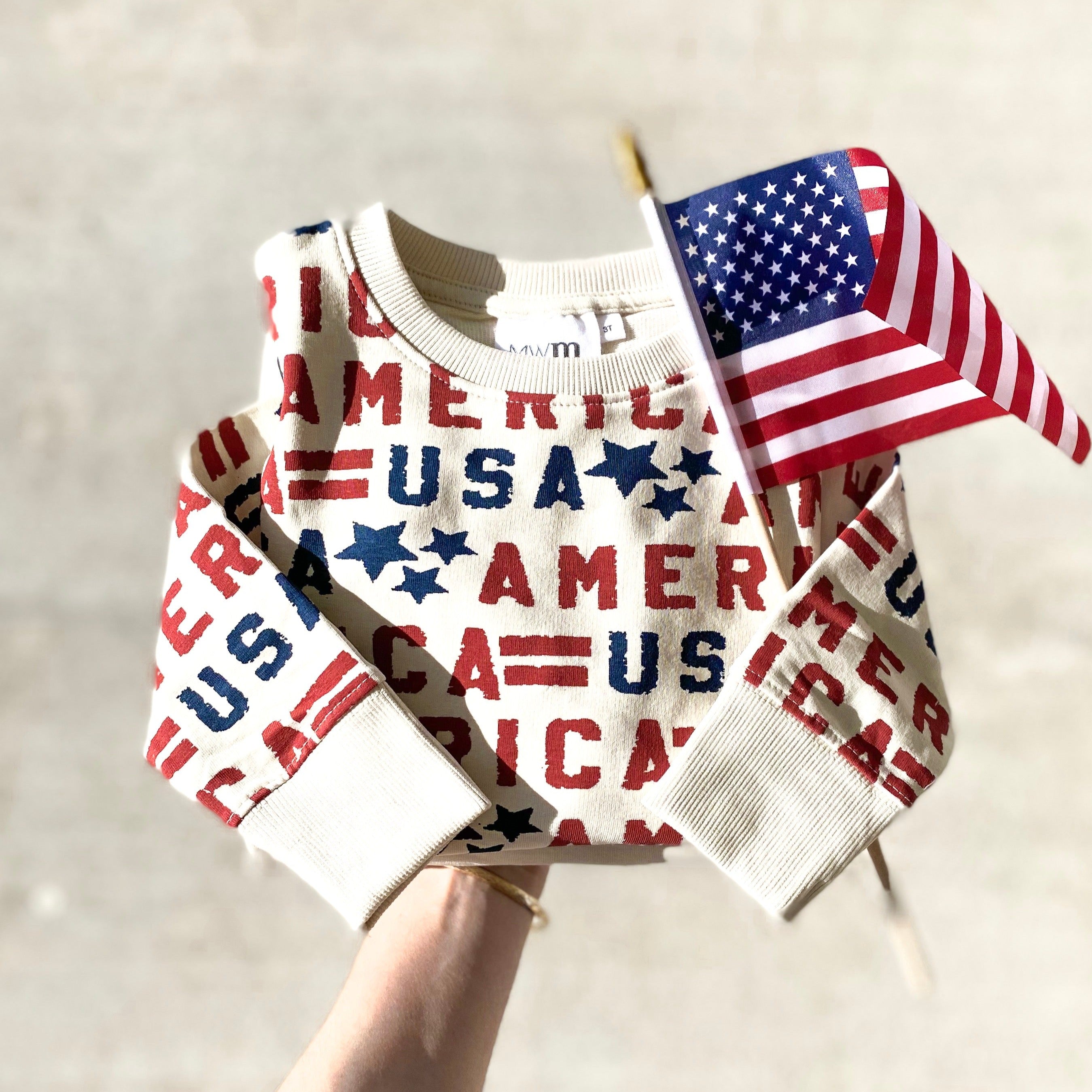 Lightweight America USA Graphic Pullover Worn Wild