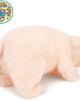 Perla The Pig | 11 Inch Stuffed Animal Plush | By TigerHart Toys