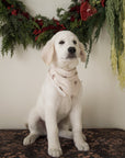 Bamboo Bandana | Gingersnap