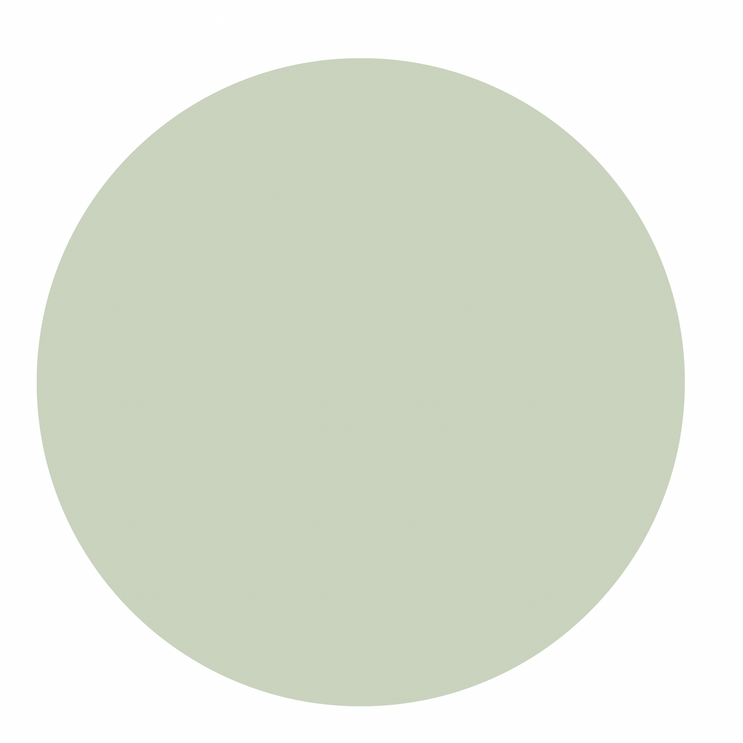Everyday Tee - Pale Green