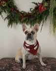 Bamboo Bandana | Vintage Santa