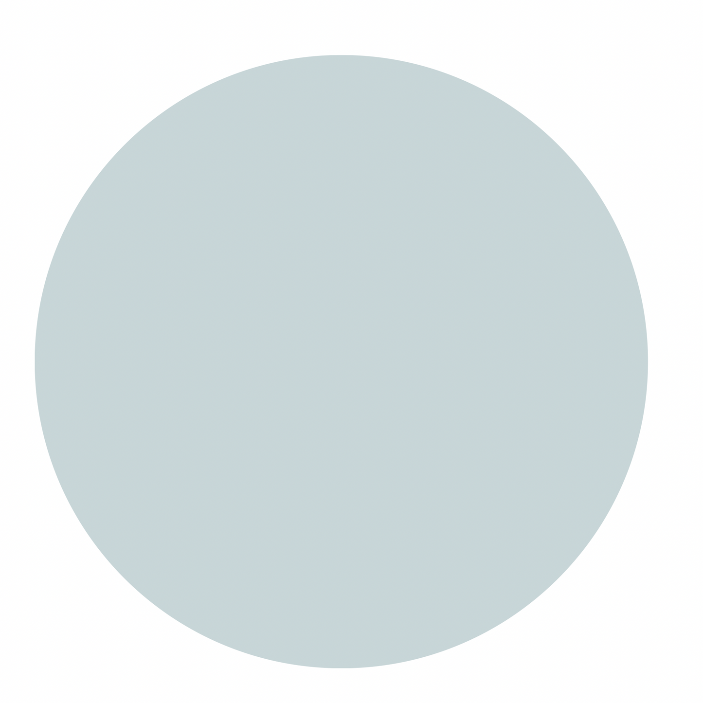 Everyday Tee - Pale Blue