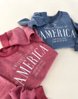 America Vintage Embroidered Sweatshirt