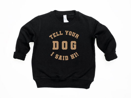 Tell Your Dog I Said Hi Kids Pullover