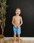 Aqua Boardshorts
