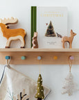 Our Little Adventure at Christmas (Baby's first Christmas)