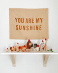 sunshine banner