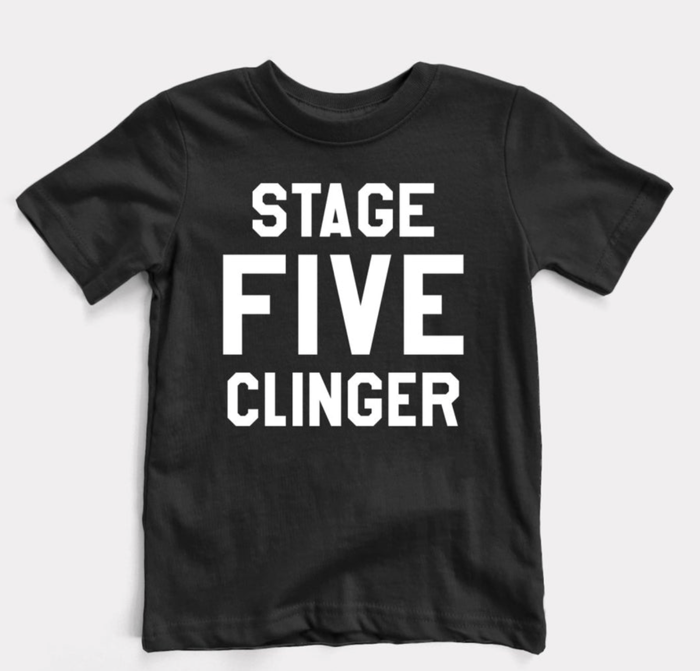 Stage Five Toddler: 6M